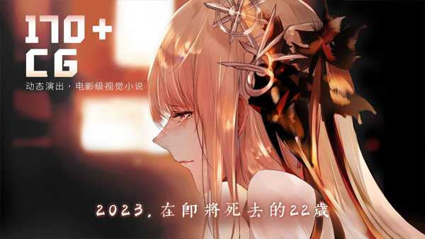 孟德大小姐与自爆少年手游