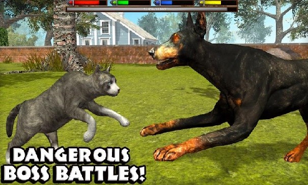 终极猫模拟器手机版