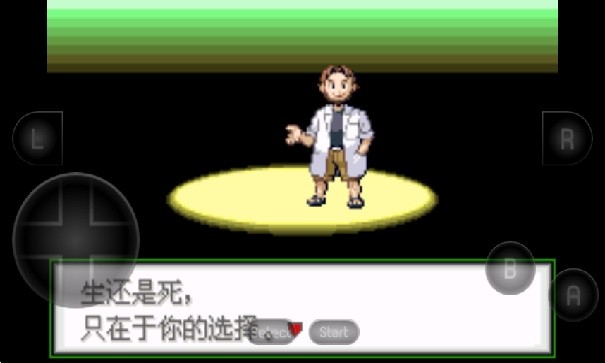 口袋妖怪生与死