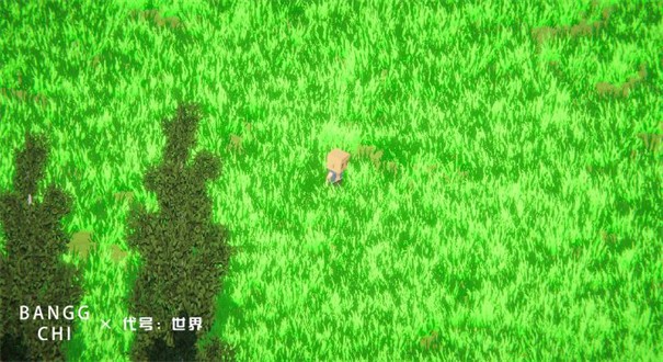 代号世界测试服