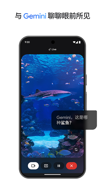 谷歌Gemini AI
