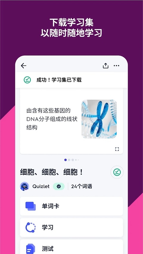 Quizlet中文版