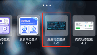 皮皮动态壁纸纯净版