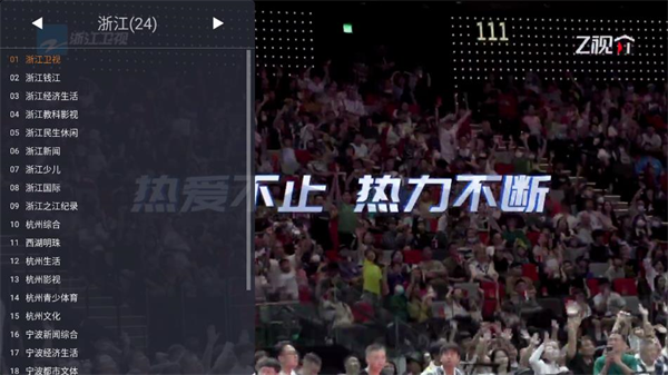 WebView电视