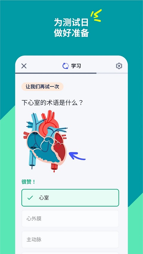 Quizlet中文版