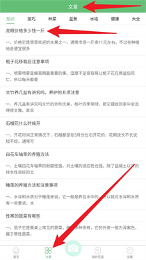 东篱花草