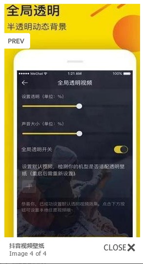 抖音视频壁纸官方客户端 v1.0.1