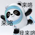 冬奥会微信冰墩墩熊猫头铁憨憨表情包免费版下载
