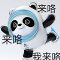 冬奥会微信冰墩墩熊猫头铁憨憨表情包免费版下载