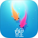 鲤iPad版