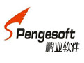 鹏业安装工程算量软件段首LOGO
