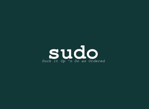 Sudo截图