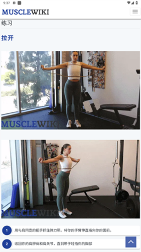 musclewiki官方版图片11