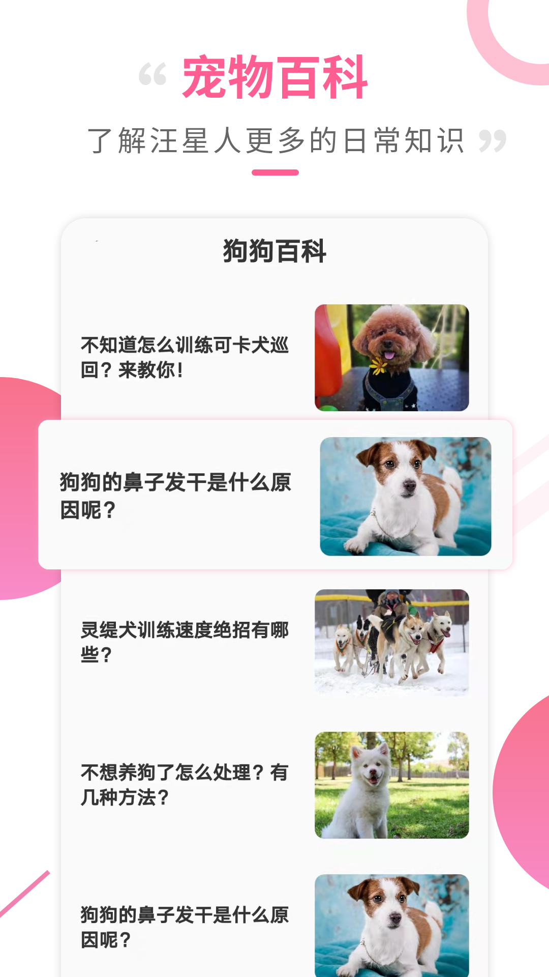 狗语翻译工具安卓版