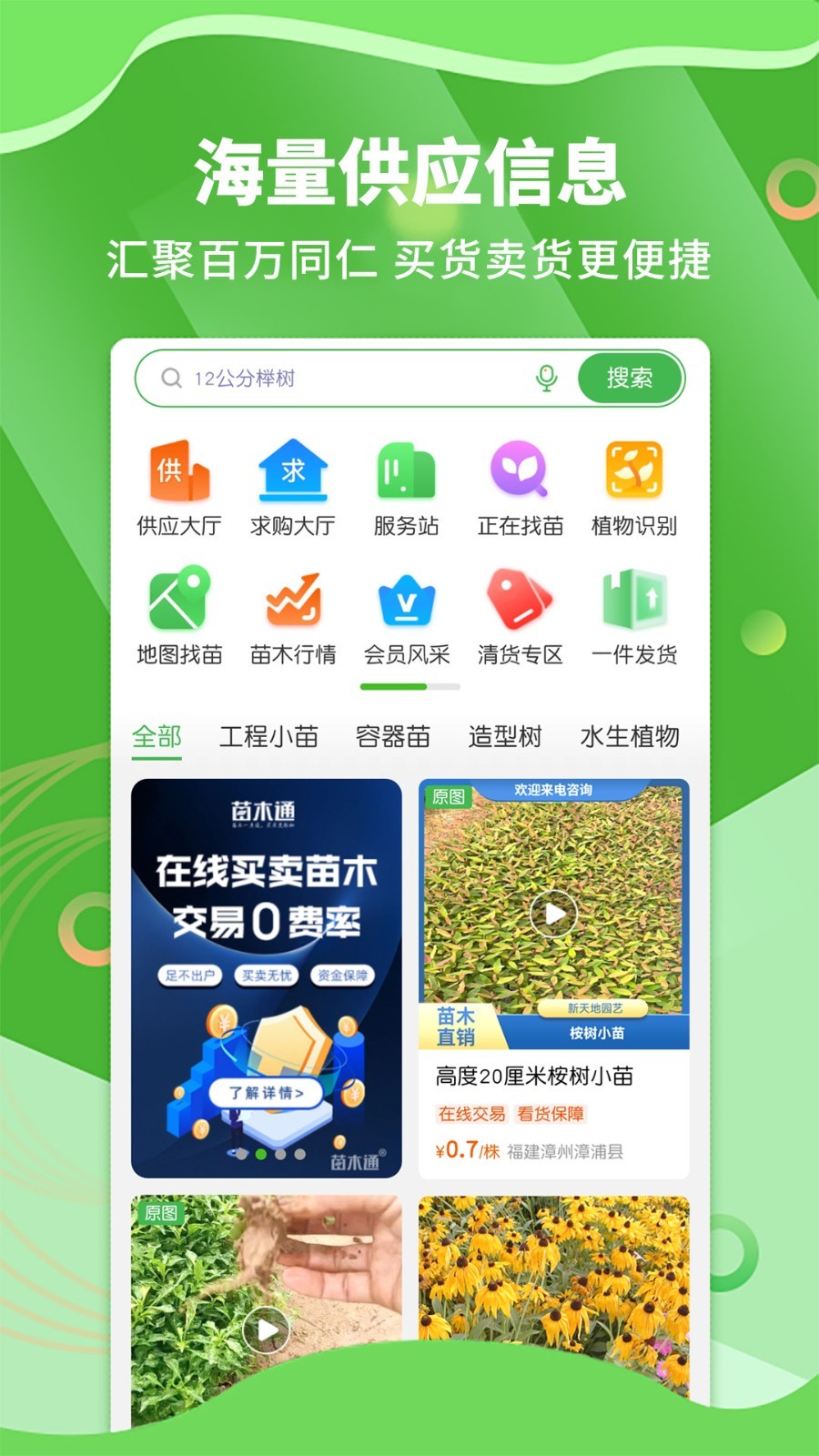 苗木通安卓版