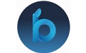 steambig段首LOGO