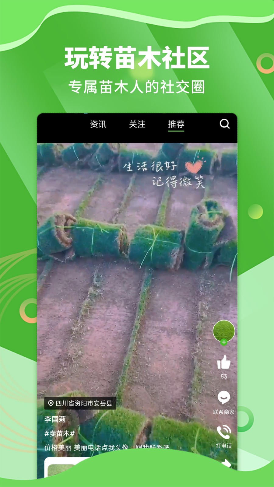 苗木通安卓版