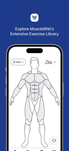 musclewiki官方版