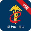 掌上单一窗口安卓版