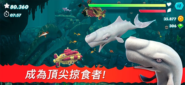 饥饿鲨进化官方正版