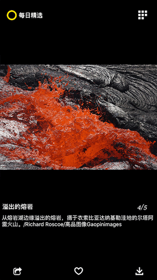 每日精选官方版