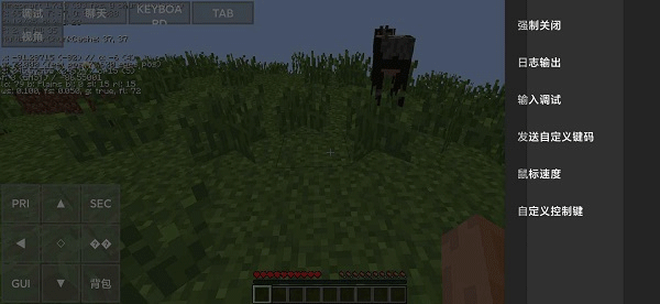 Minecraft Ja