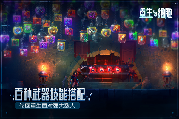 死亡细胞破解版免付费中文版