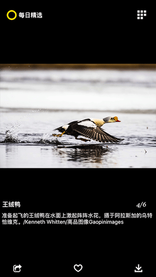 每日精选官方版