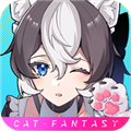 猫之城