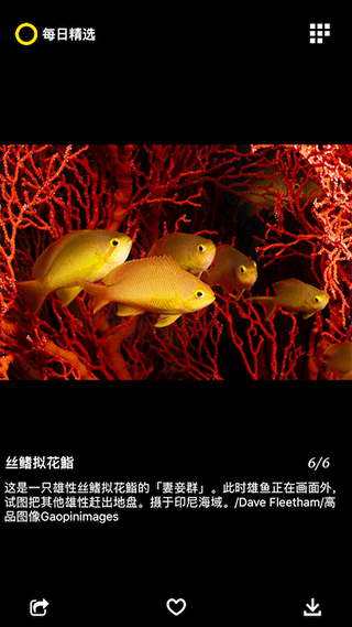 每日精选官方版