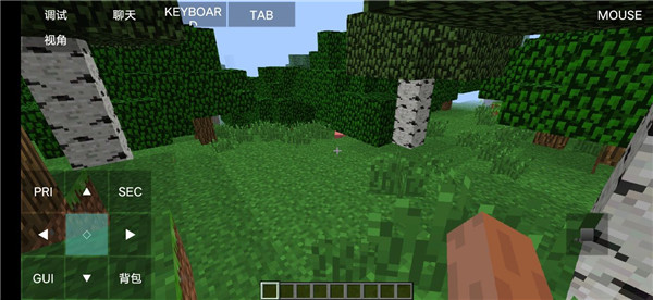 Minecraft Ja