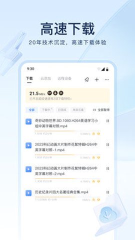 迅雷电影