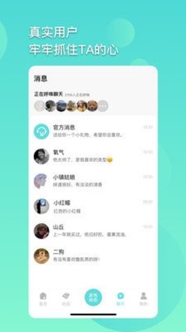小黑鸟