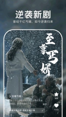 红果视频