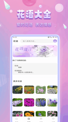 洽谈