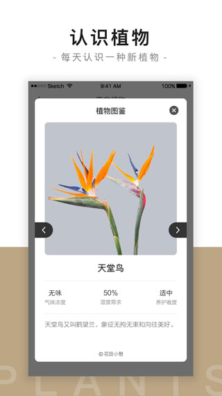 花田小憩App