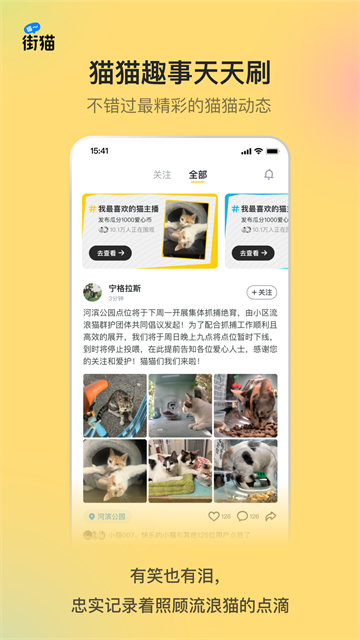 哈啰街猫