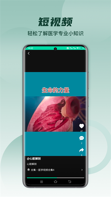 医维度解剖