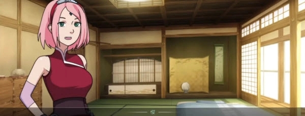 女忍者训练师全cg解锁