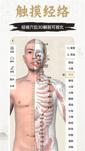 知源经络穴位