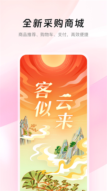美云销