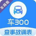 车300专业版