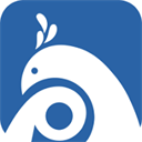 平安版纳App