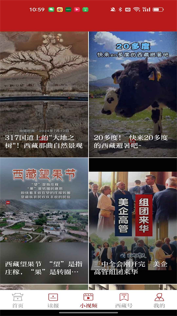 西藏日报
