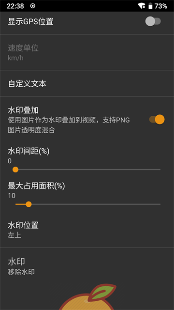 IP Camera
