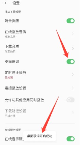 怎么开启桌面歌词功能？3