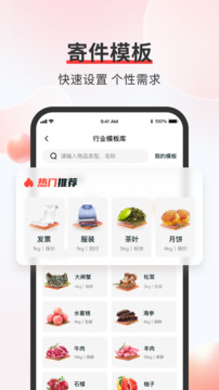 顺丰速运内地版