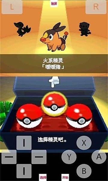 口袋妖怪白2