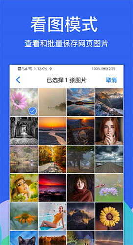 Alook浏览器最新版