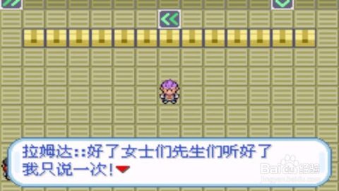 口袋妖怪火箭队 中文版